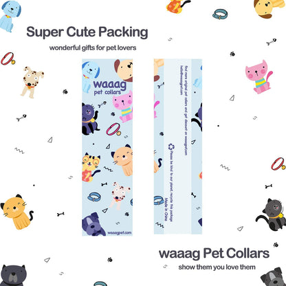 Pet Supplies, (Summer Blooms) Cat Collar, Dog Collar, Cat Leash, Dog Leash, Small Dog Collar, Medium Dog Collar, Large Dog Collar (Pet Collar, M)
